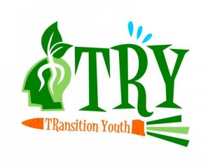 try-giovani in transizione