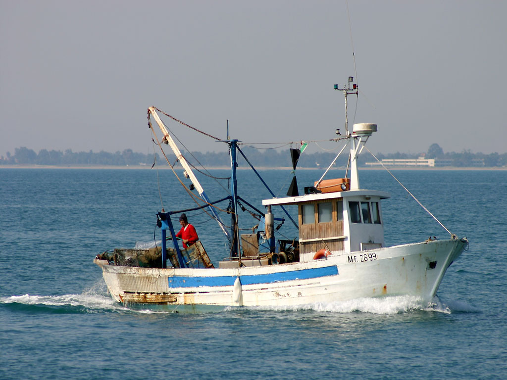 pesce spada prodotti ittici pesca illegale pesce spada