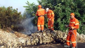 trattativa dei forestali antincendio graduatorie forestali