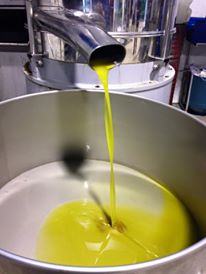 olio di oliva olio tunisino olio castelbuono