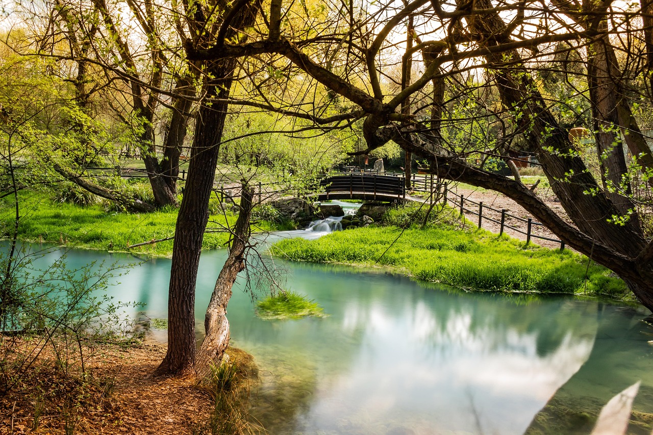 Panorama di un fiume siciliano circondato da gole e vegetazione lussureggiante.