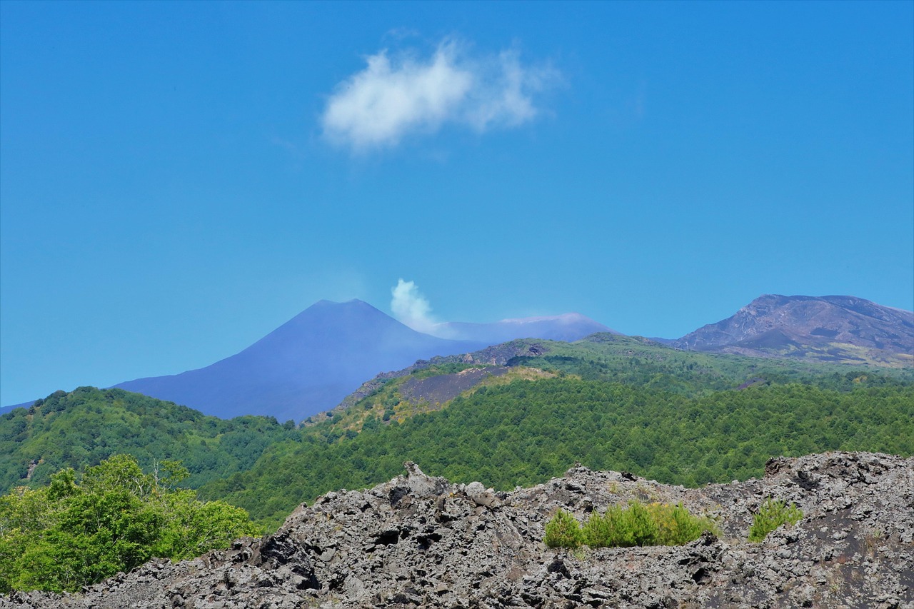 Bottiglie di vino rosso e bianco in una cantina dell'Etna, con vista sui vigneti circostanti.