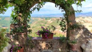 Fine febbraio o aprile: la finestra perfetta per rose sempre in fiore