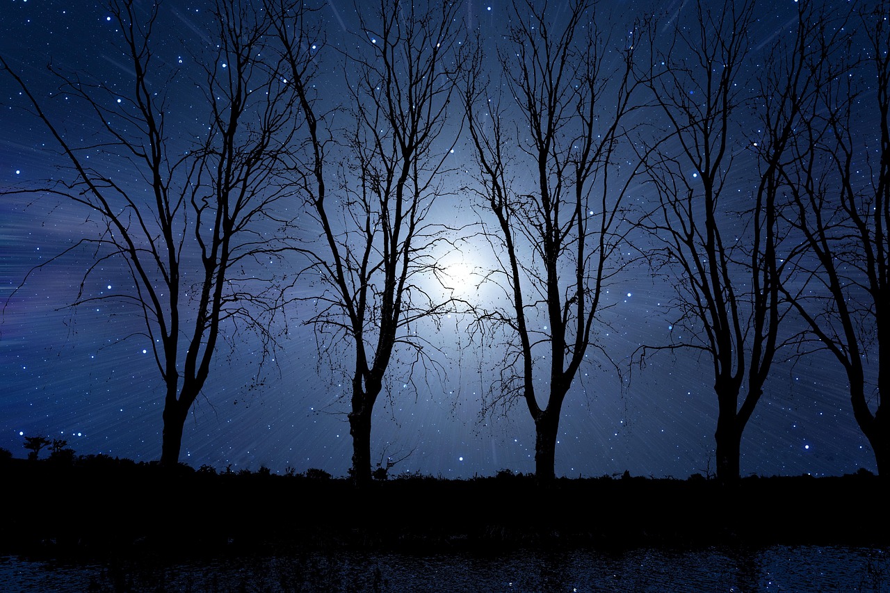 Immagine ispiratrice con citazioni profonde per una buonanotte riflessiva.