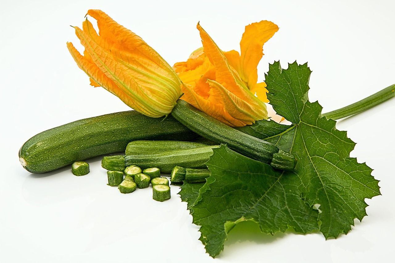 Zucchine cresciute in vaso, con foglie verdi e fiori gialli, pronte per la raccolta.
