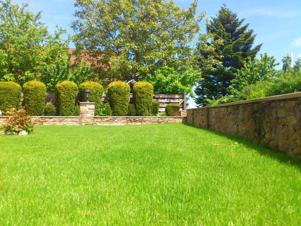 Prato verde rigoglioso sotto il sole di luglio con piante ben curate e irrigazione efficiente.